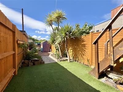 Picture 11